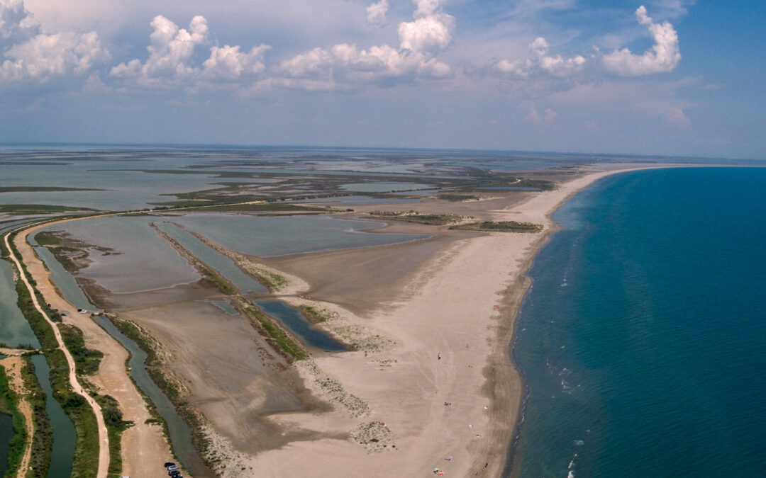 LA CAMARGUE UN RADEAU FRAGILE